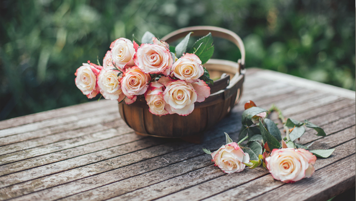 annabellereloaded-slider