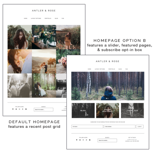 Antler and Rose homepage options