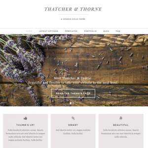 Thatcher and Thorne WordPress theme